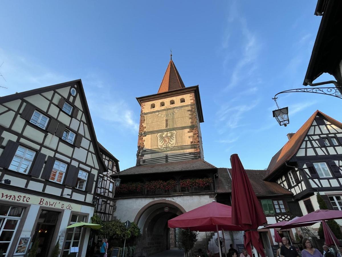 شقة Coucou - Nest Im Schwarzwald غينغنباخ المظهر الخارجي الصورة